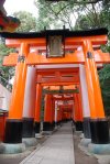 Celestial Gates Fushimi Inari