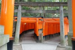 Choose your way in Fushimi Inari